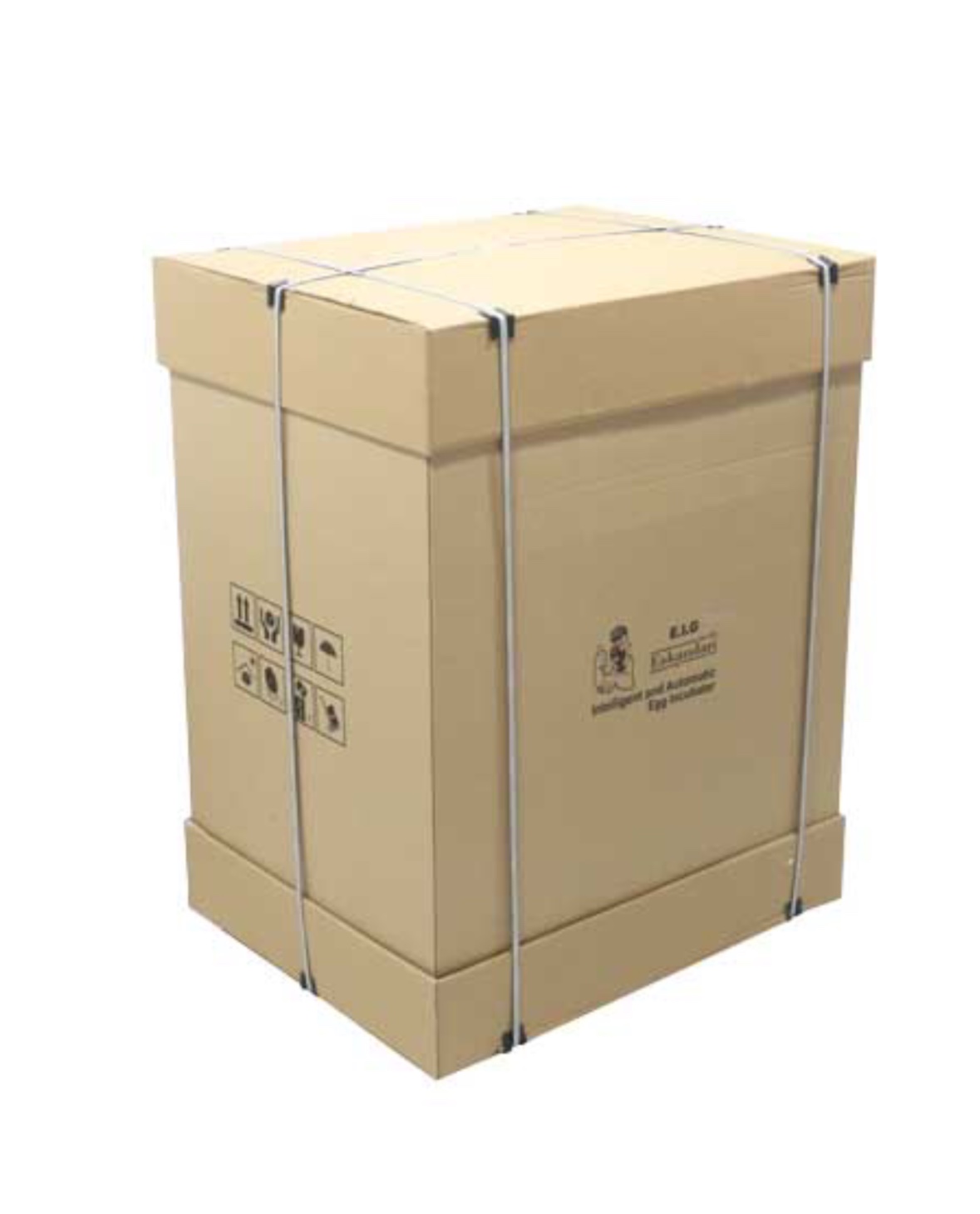 کارتن جوجه کشی صنعتی